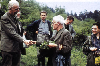 TuexenGauckler1965Tuexenia