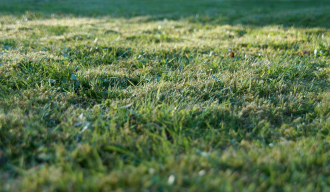 Bodenrichtwerte grass 905179 1920