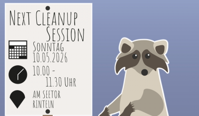 Next Cleanup Post Vorlage 2